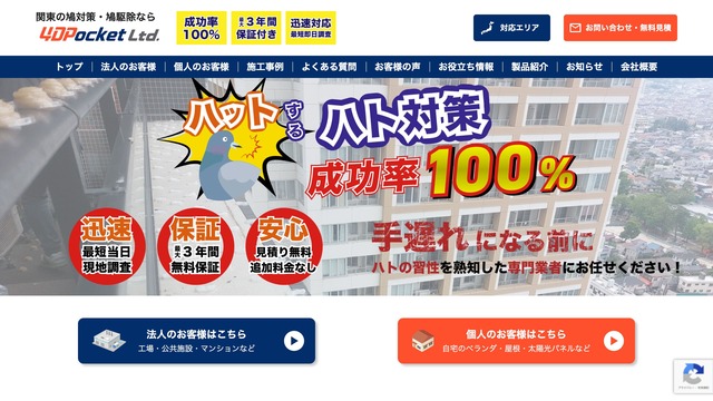 鳩駆除対策会社 4DPocket(フォーディーポケット)様のホームページ制作実績